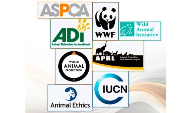 animal organizations