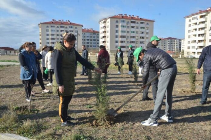 Qubadlı sakinləri ağacəkmə aksiyası və iməcilik keçiriblər