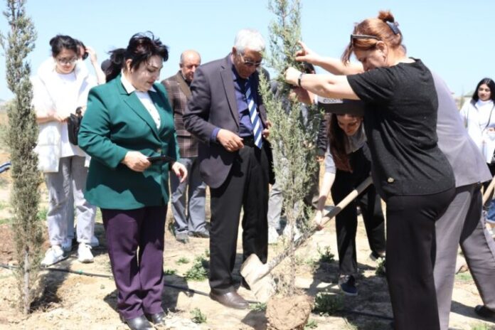 Dendrologiya İnstitutu “Yaşıl dünya naminə həmrəylik ili” çərçivəsində ağacəkmə aksiyası keçirib