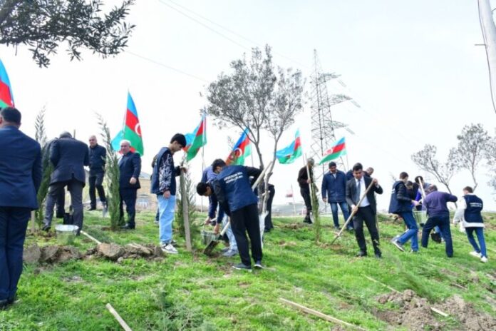 Abşeronda ağacəkmə və təmizlik aksiyası