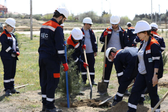 Balaxanı Əməliyyat Şirkəti ərazilərində ağacəkmə işləri