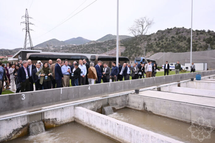 “COP29 və Azərbaycan üçün Yaşıl Baxış” beynəlxalq forumunun iştirakçıları Laçında Həkəri Balıq Təsərrüfatı ilə tanış olublar