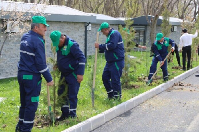 Naxçıvanda “Təbiəti birgə qoruyaq” şüarı ilə aksiya