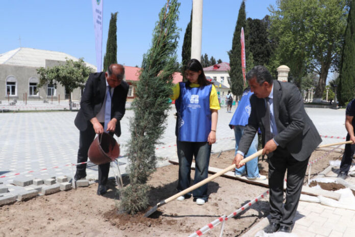 Samuxda ağacəkmə və təmizlik aksiyası