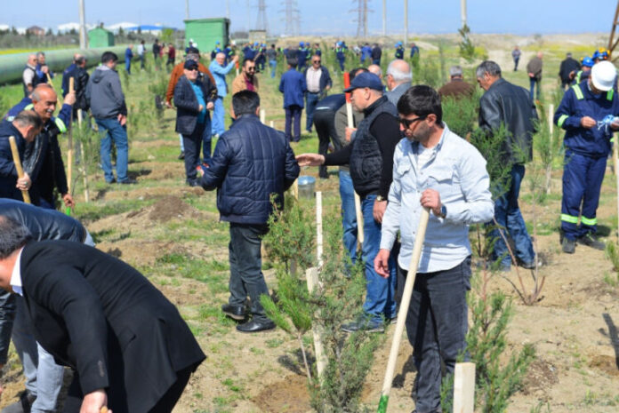 “Yaşıl dünya naminə həmrəylik ili” çərçivəsində SOCAR-ın təşkilatçılığı ilə ağacəkmə aksiyası