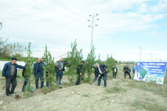 Tərtər rayonunda növbəti ağacəkmə aksiyası